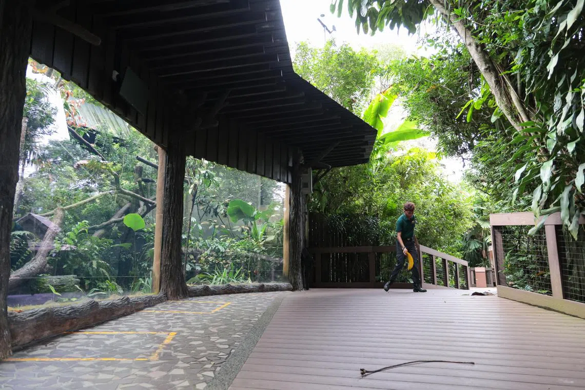 阿里克（Ariq），步道管理员，正在检查步行小径，确保道上没有垃圾或树枝等障碍物。（李冠卫摄）