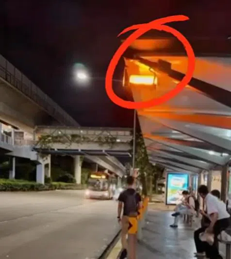 当局在指定巴士站开启闪烁的灯（红圈），帮公众识别可以免费乘搭普通巴士的巴士站。（取自陆交局脸书）