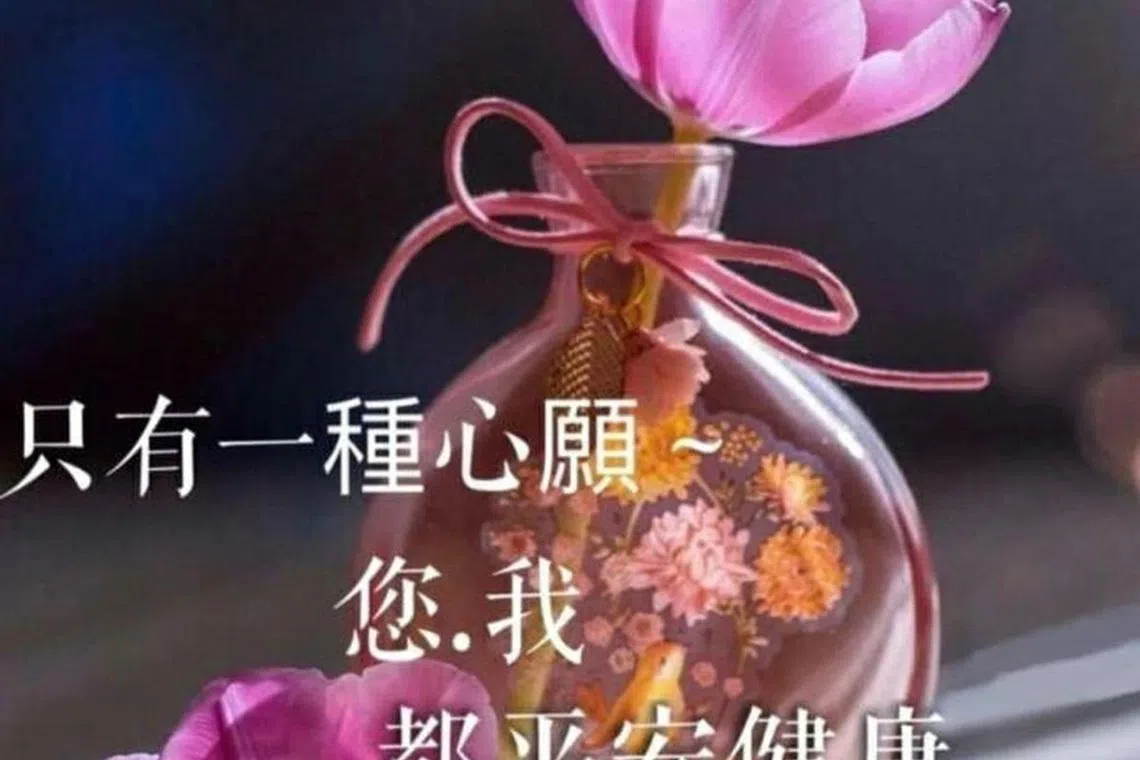 早安图。（新明日报）