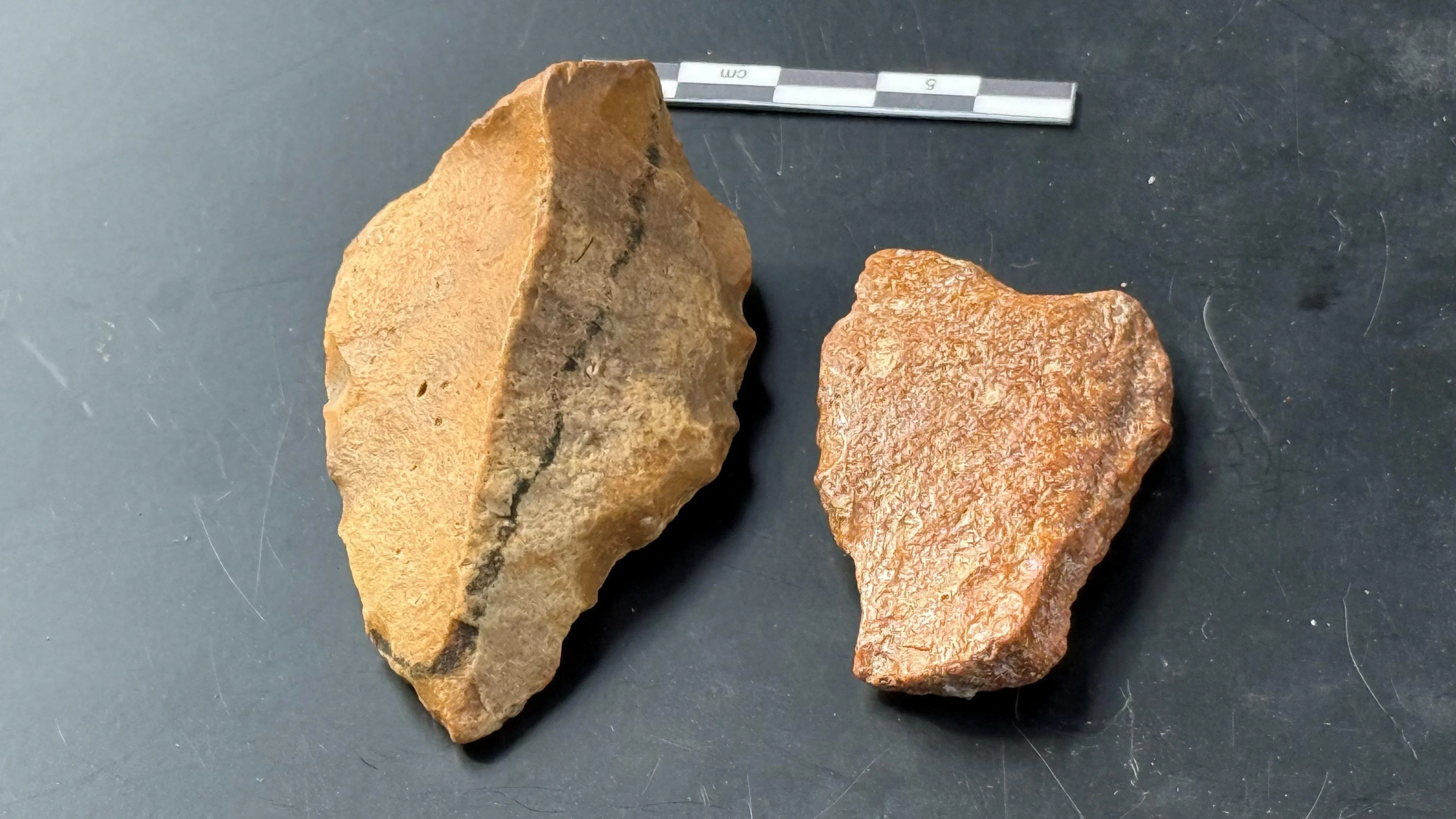 澳洲和印尼考古学家在华莱士区域发现的古代石器工具可用来切割小动物和雕刻岩石。（路透社）