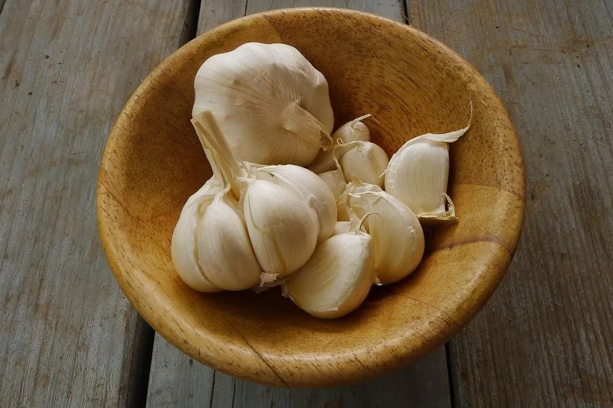 蒜头是常见食材，其实生食更能发挥功效。（照片/ Envato）