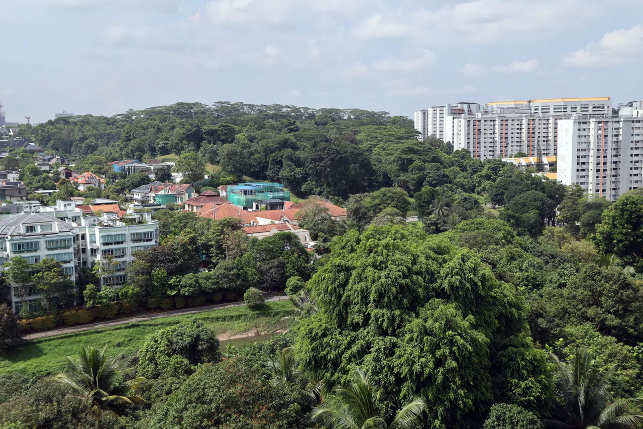 斜阳大道一带是成熟有地住宅区。受访分析师认为，有居民或担心新组屋带来人口增加和高楼俯瞰住宅问题。（邝启聪摄）