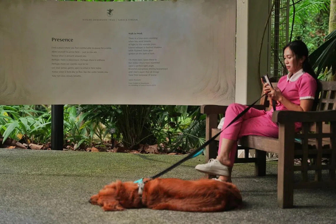 步道通过沿途设置的指示牌，引导访客运用视觉、听觉、触觉和嗅觉等感官，与周围环境进行更深入的互动。（谢智扬摄）