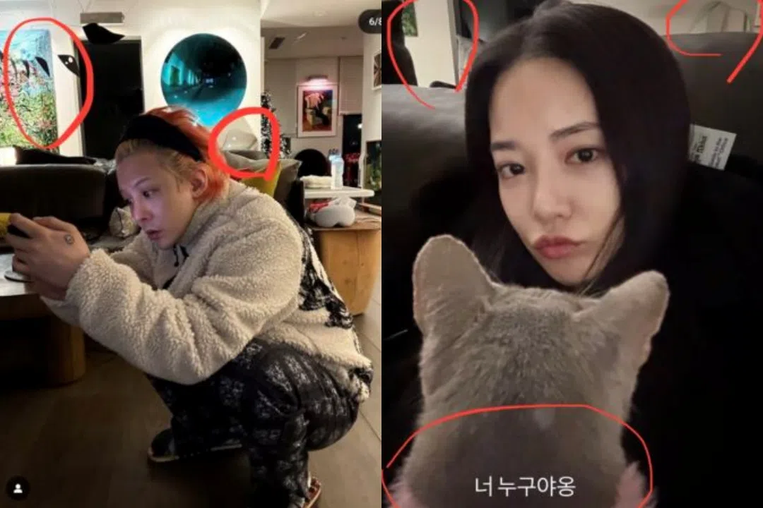 网民柯南上身，点出李珠妍（右）猫咪合照，地点疑在GD家里。（互联网）