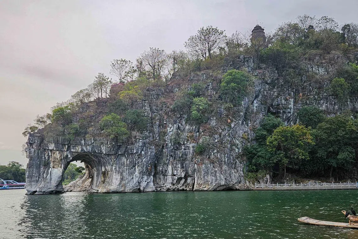 “大象”伫立江边低头饮水。（客桑摄）