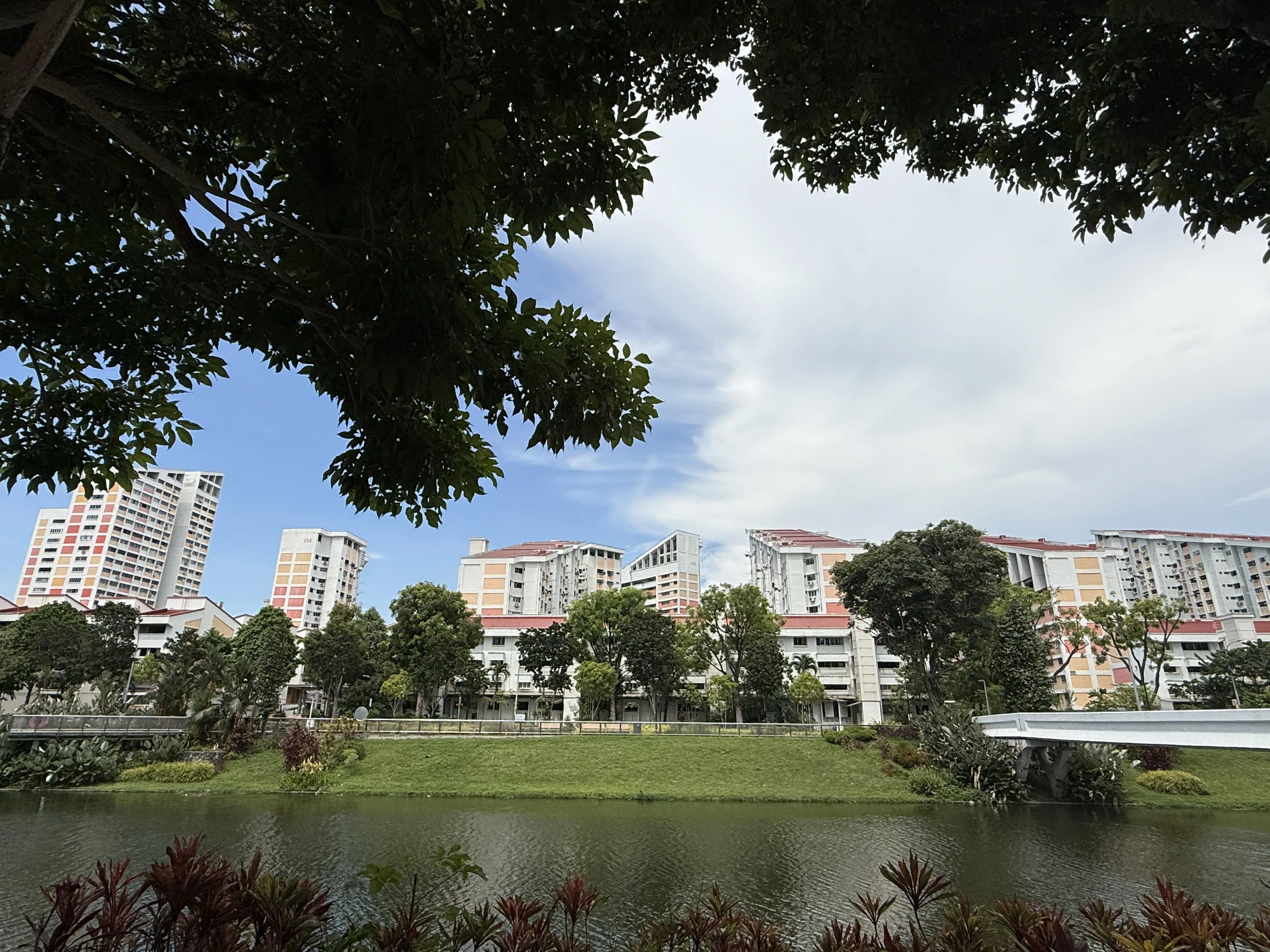 曾经灌溉菜园的加冷河，如今成了居民放松身心的美丽风景。（陈映蓁摄）