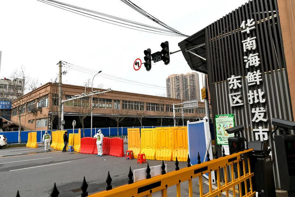 管轶2020年1月在疫情暴发初期带领团队前往武汉取样，却吃了不少闭门羹，鲜有科研机构愿意与他们合作。图为武汉疫情暴发地华南海鲜市场。（中新社） 