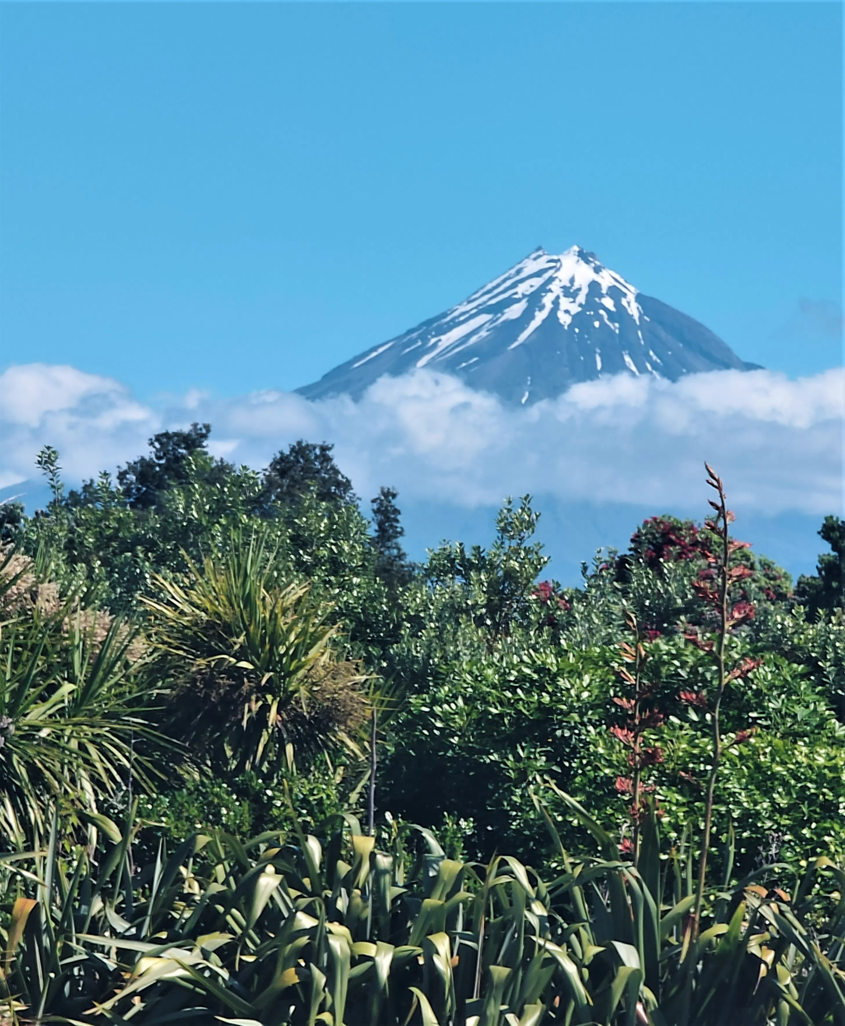站在特雷瓦雷瓦大桥回望塔拉纳基雪山，云雾弥漫，仿佛带着游人进入虚无缥缈的境地。（陈静芳摄）