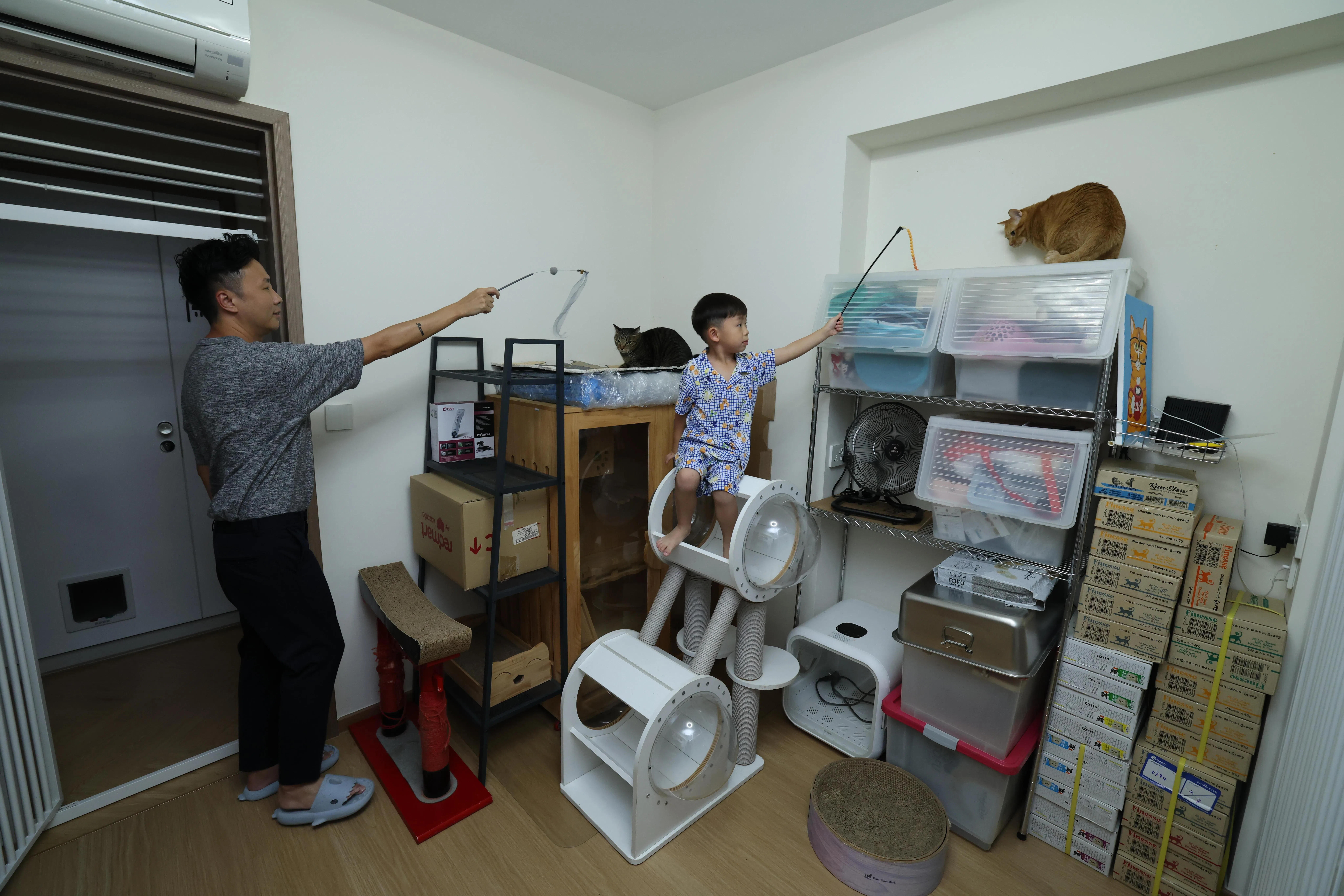 育有两名年幼子女的关伟杰，为了兼顾家庭与救助工作，在装修组屋时便预先规划出一间“猫房”。这里设有三个独立隔间，每个隔间足以舒适地容纳两只猫，另有两处专为幼猫准备的空间，方便根据猫咪的状况进行隔离照料。为防止精明的猫咪“越狱”，房门口还特意加装了一道防护门。（梁麒麟摄）
