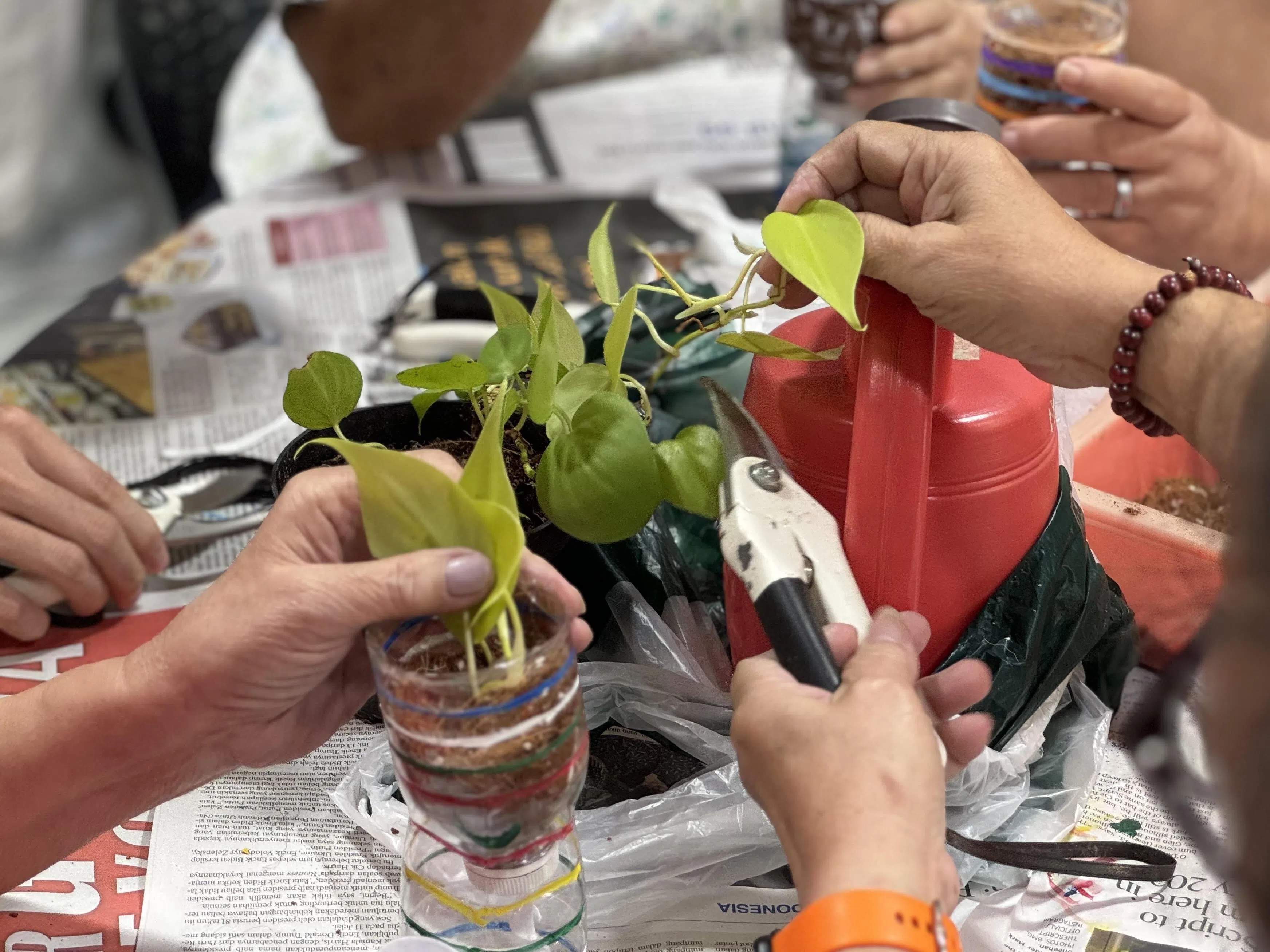 来自义安理工学院的学生义工，办工作坊宣导永续理念，教年长者把塑料瓶改造为盆栽。（受访者提供）