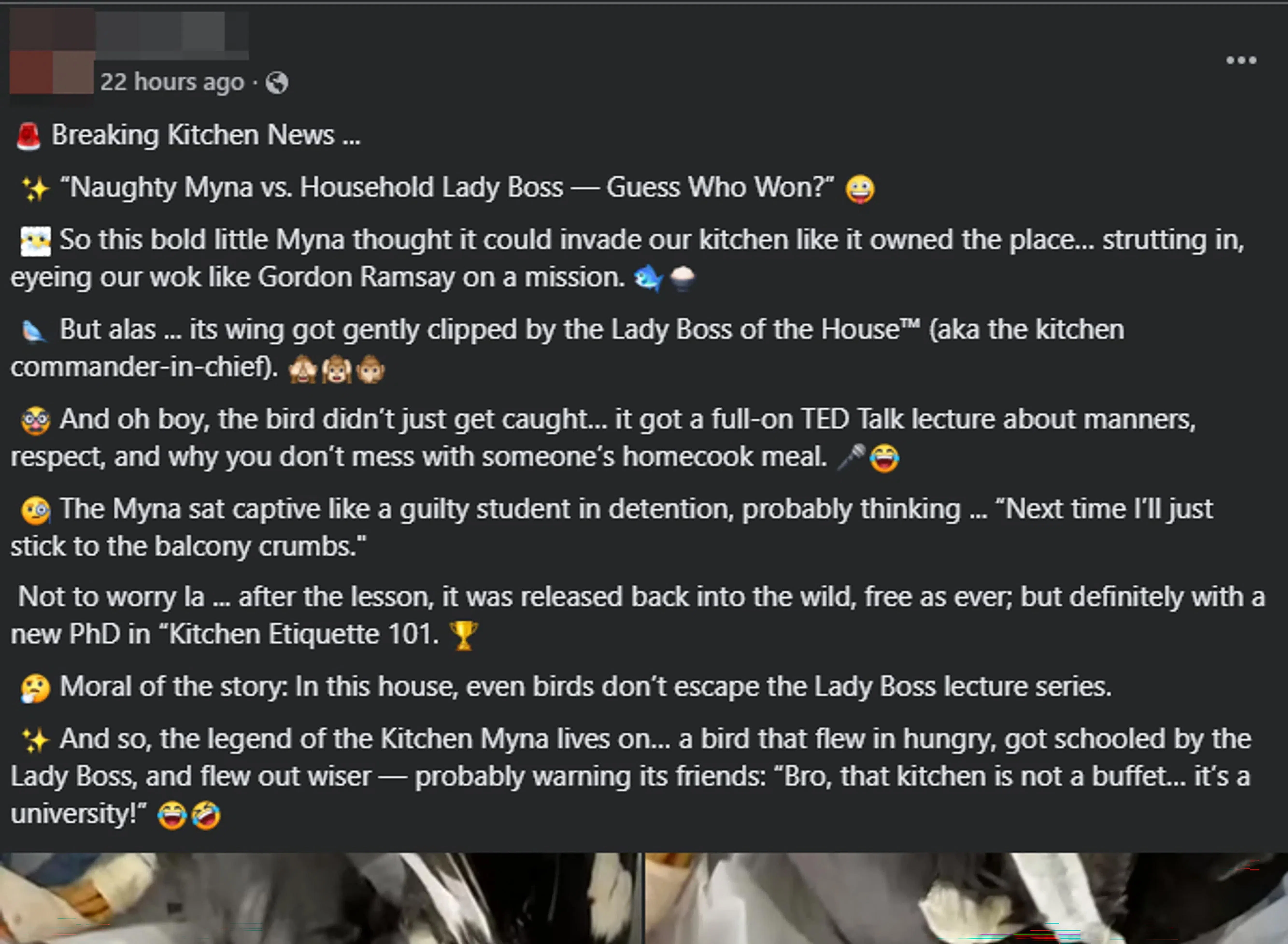 贴文中也指出，八哥的翅膀随后被女主人“温柔地修剪”了一下。（脸书截图）