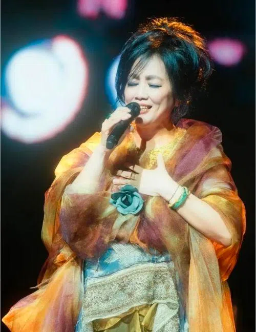 齐豫在《歌手2026》演唱《橄榄树》备受肯定。（互联网）