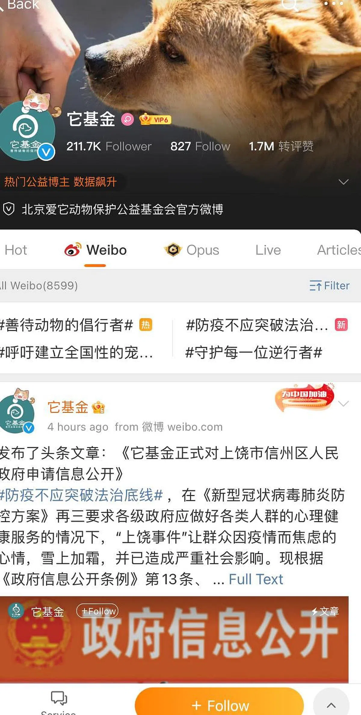 北京爱它动物保护公益基金会（简称它基金）今天发文指相关涉事工作人员的行为都缺乏法律依据，属于违法甚至涉嫌犯罪，并申请上饶市信州区政府公开经上级批准对该小区居民家中宠物犬猫作出的“无害化处置”决定书。（微博）