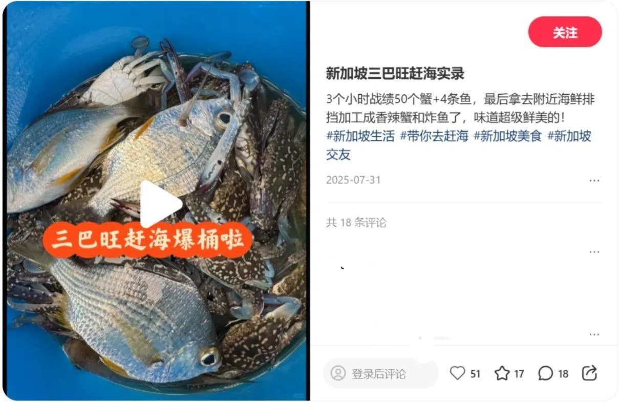 小红书可以看见网民分享在三巴旺码头赶海捕蟹的记录过程。（网络截图）