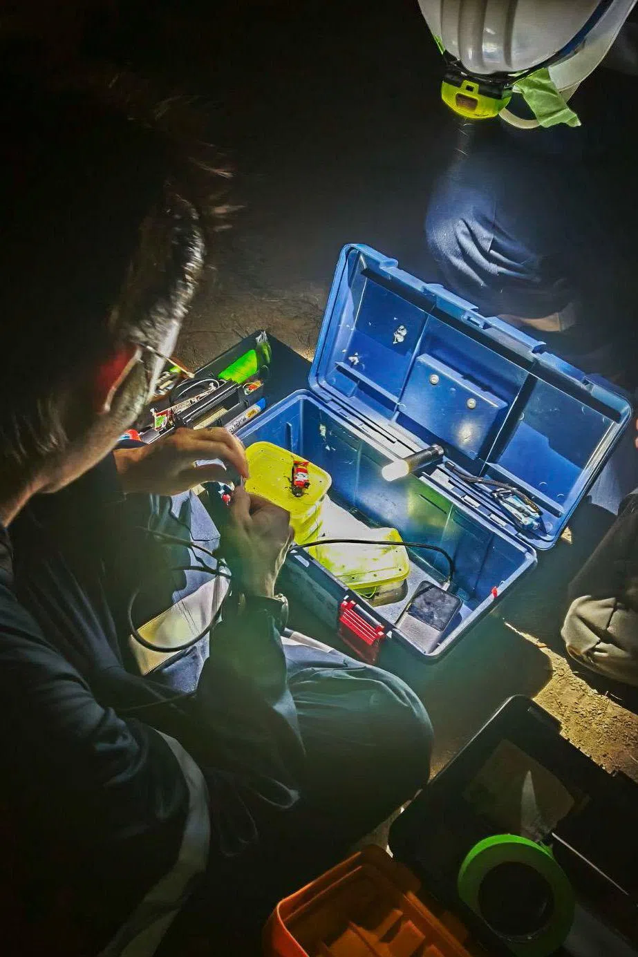 工程师用戳孔的塑料盒分装10只蟑螂，定时放置萝卜和湿纸巾，确保蟑螂“战友”状态良好。（内政科技局提供）