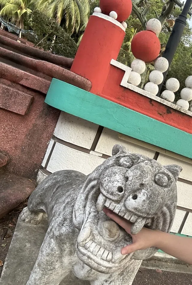 （作者提供）