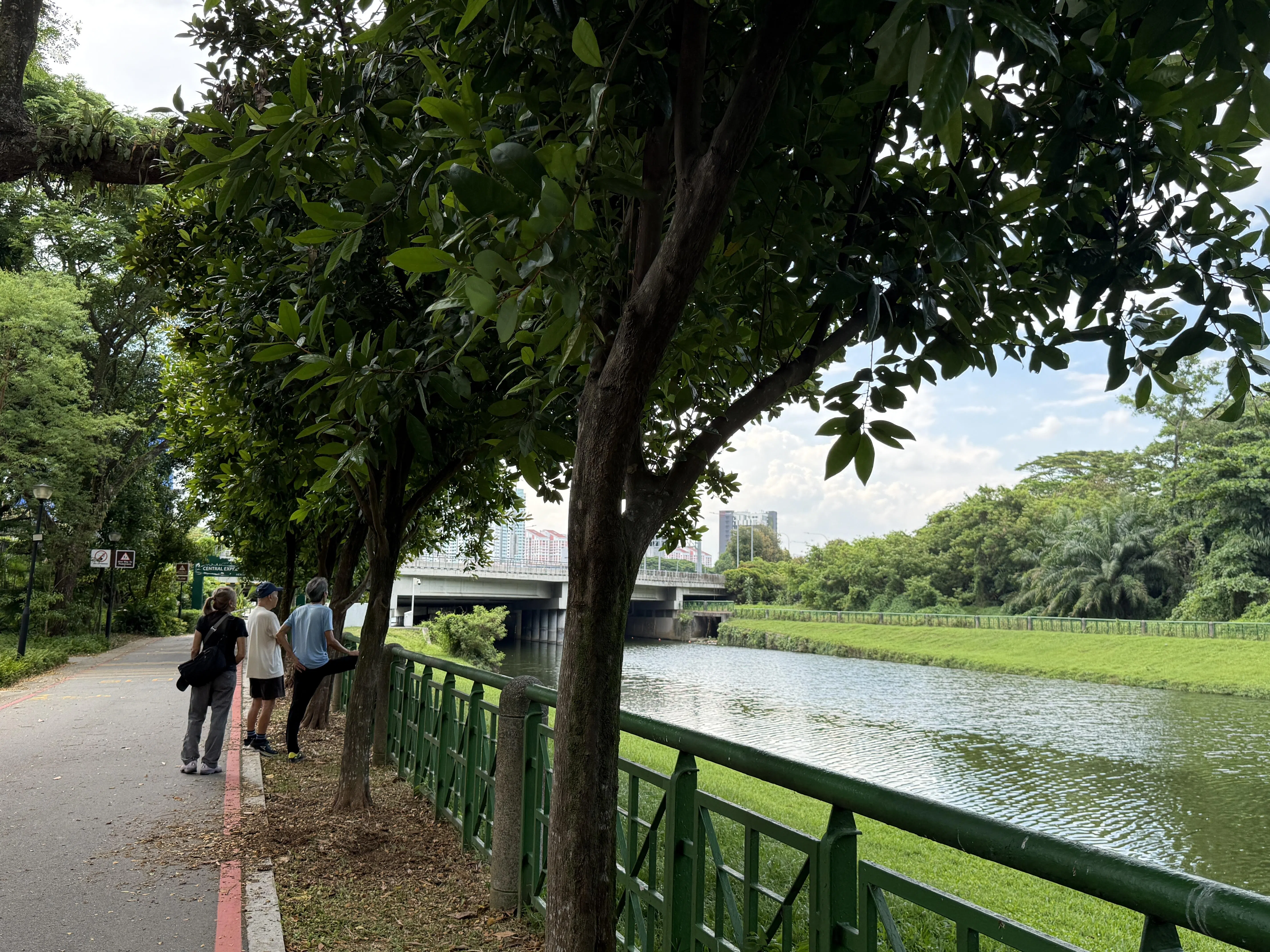 公园连道上，街坊一起寻觅对岸树林里的老鹰身影。（陈映蓁摄）