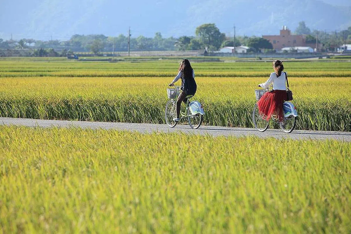 在乡间小路骑行，让人感觉心旷神怡。（图/台东观光旅游网）