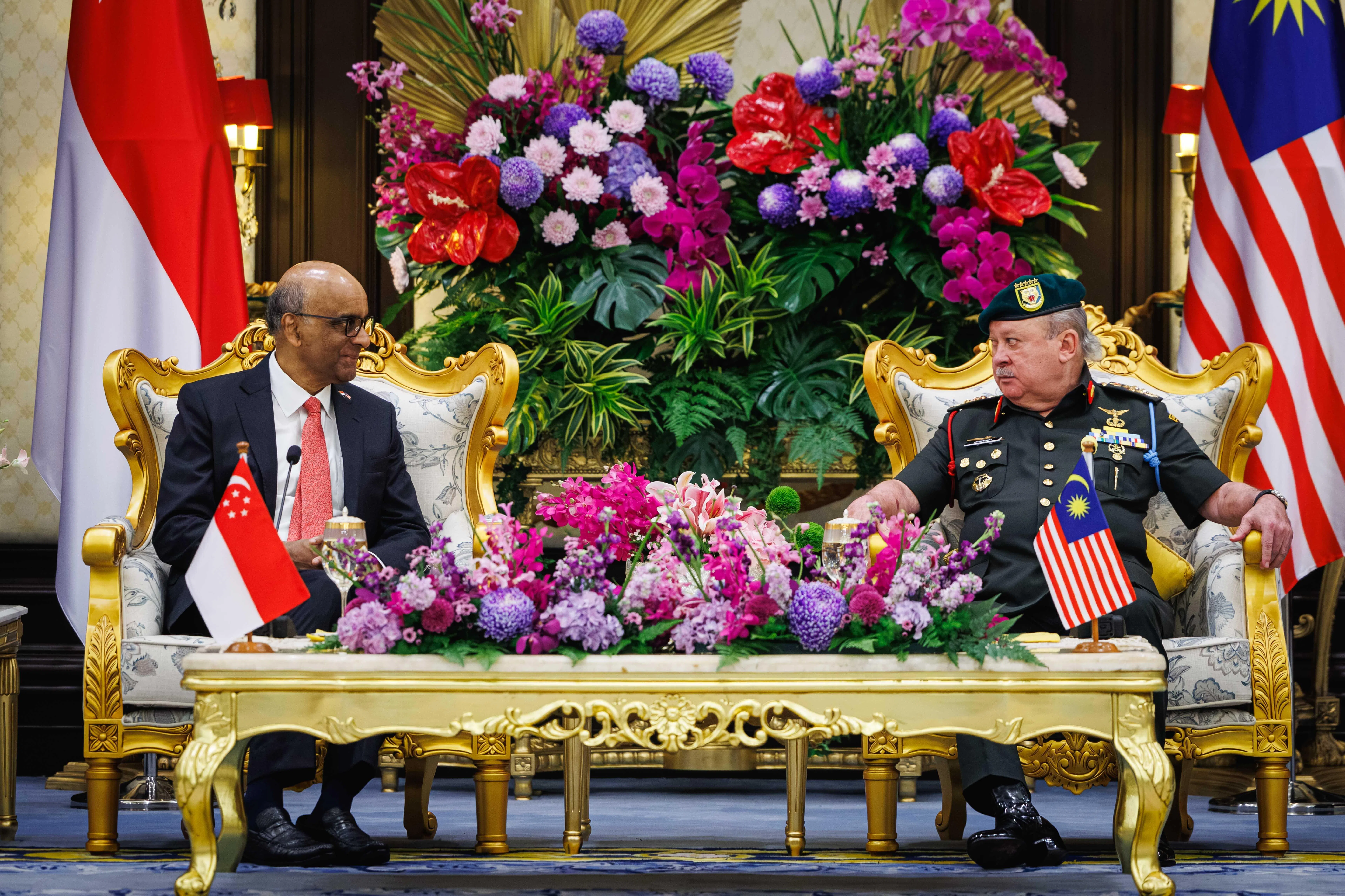 尚达曼总统（左）星期一到马来西亚国家王宫，会见马国国家元首苏丹依布拉欣（右）。尚达曼发表讲话时指出，新马虽不时面对分歧，仍持续深化合作，使双边关系保持稳定，在当前国际环境中尤显难得。（数码发展及新闻部提供）