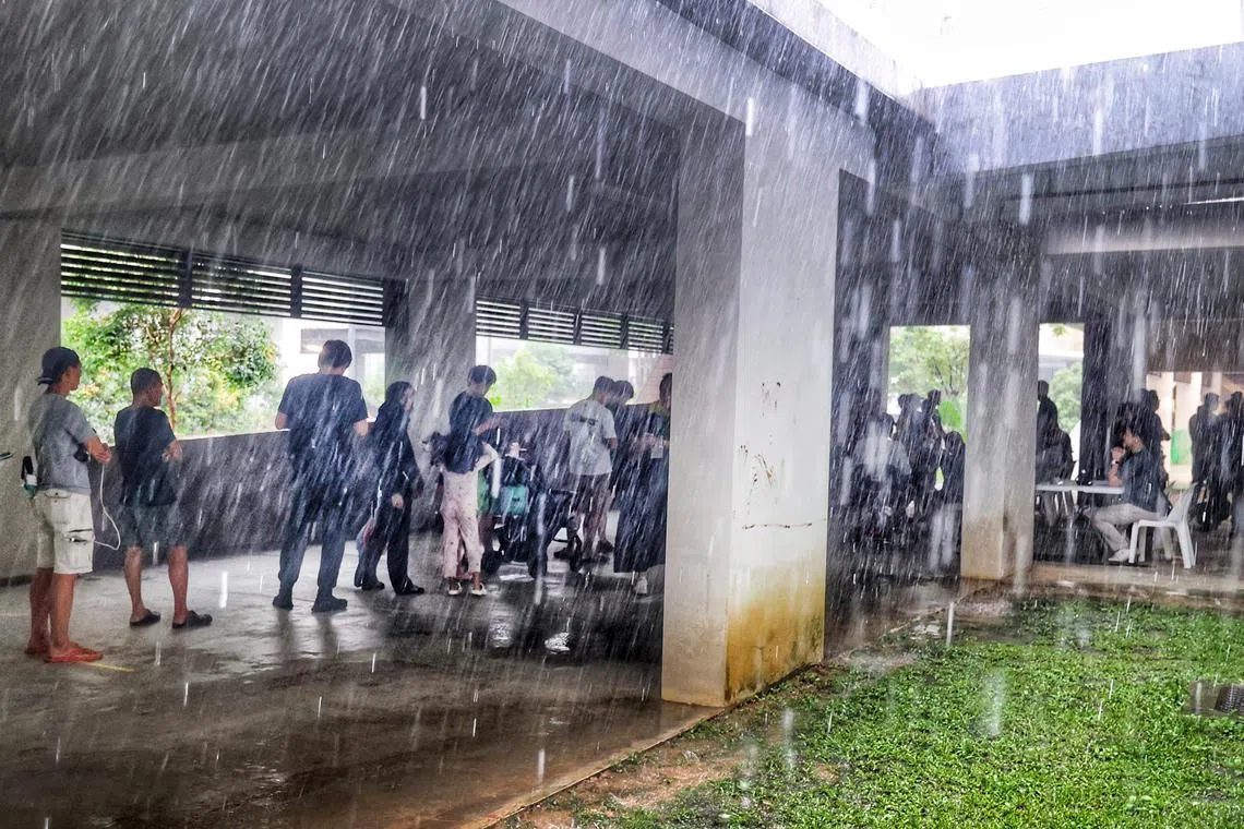 大雨无阻选民投票行使公民权利，西海岸—裕廊西集选区选民一早就到金文泰第608座组屋投票站，有条不紊地排队。（郑一鸣摄）