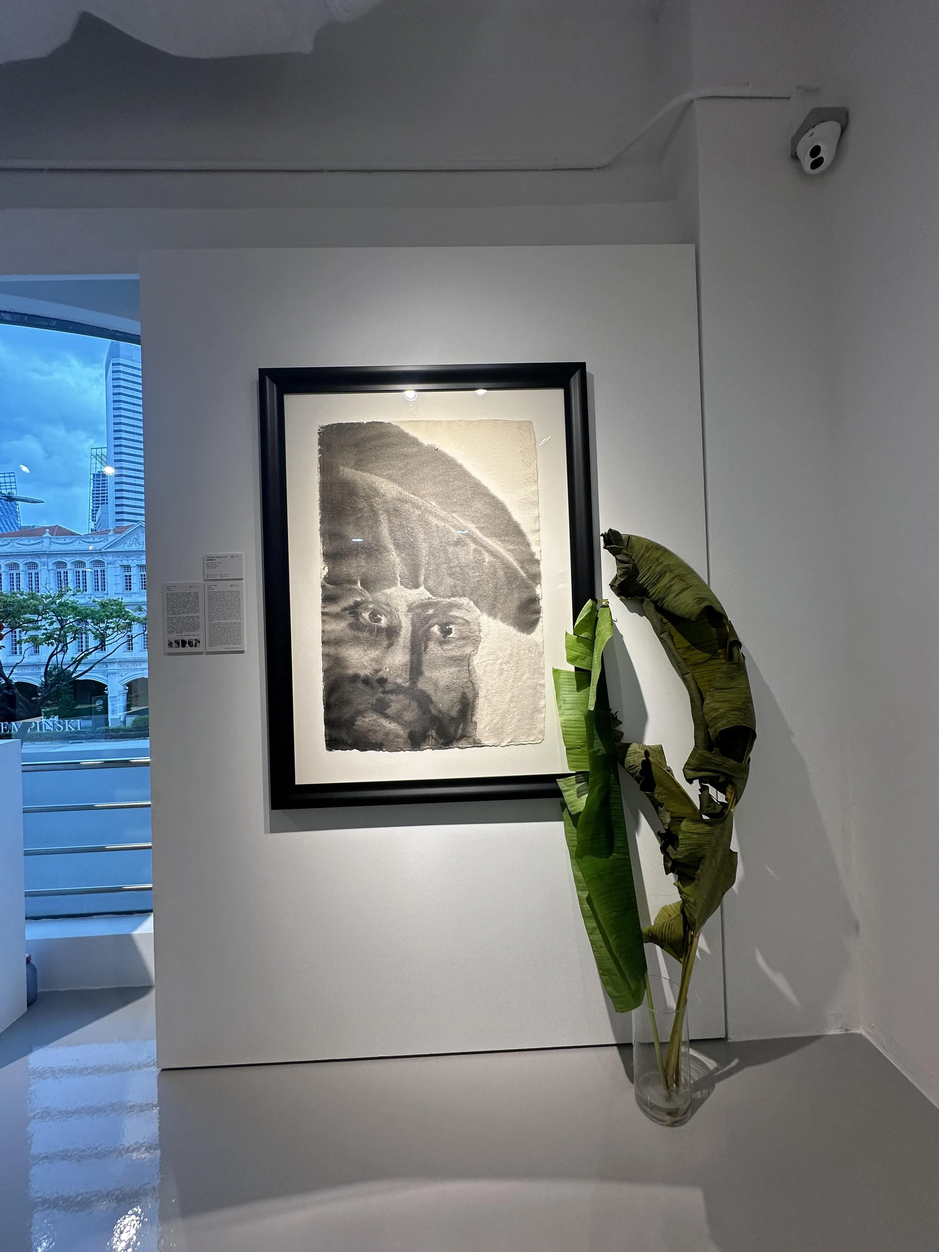 品艺画廊展出新加坡当代艺术家唐大雾纸本水墨《芭蕉树下》。（黄向京摄）