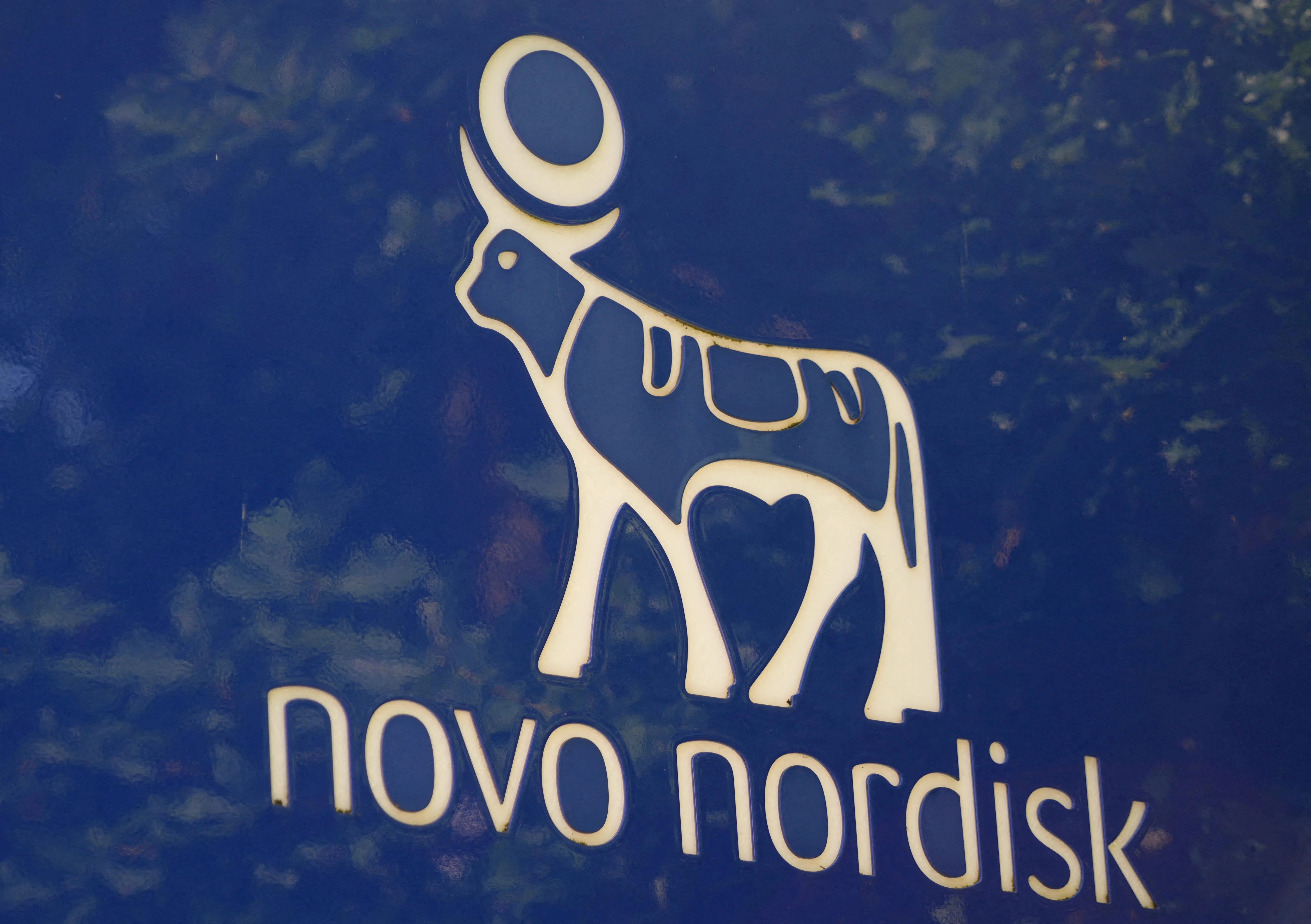Novo Nordisk将在全球7万8400名员工中裁员约9000人，其中丹麦国内将裁员约5000人。（路透社）