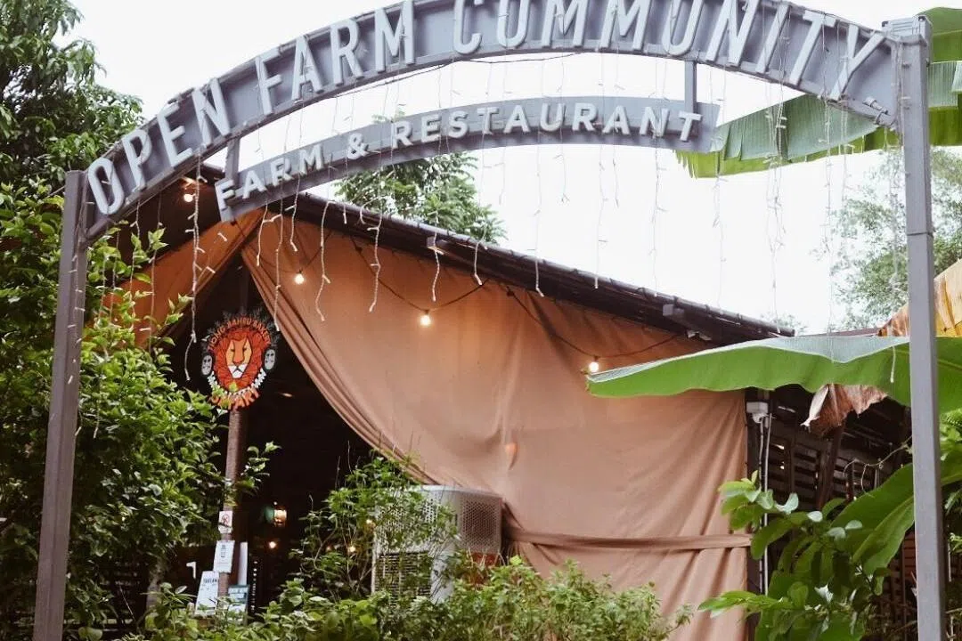 同属Spa Esprit集团的菜园餐馆Open Farm Community和面包咖啡馆Tiong Bahru Bakery Safari，在社交媒体上宣布会在来临星期天结束营业，但没有说明原因。（取自Open Farm Community脸书）