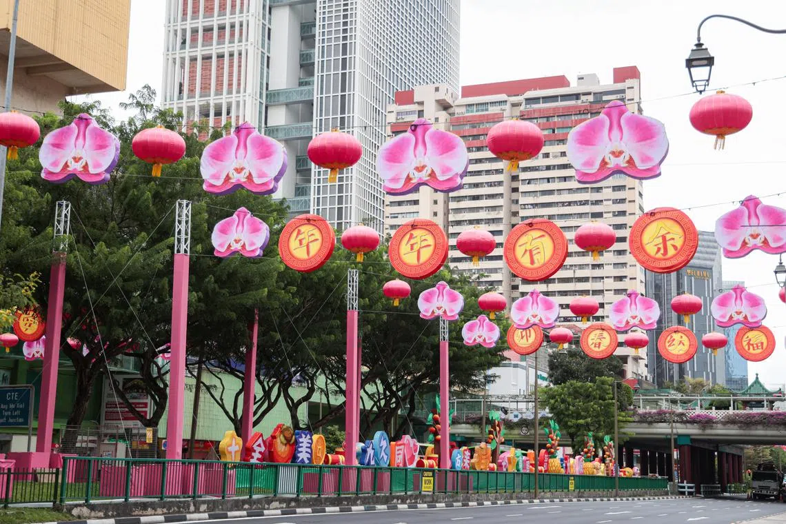 为了欢庆新加坡建国60周年，垂挂在余东旋街和新桥路上的新春灯饰特意加入了国花胡姬花。张挂的四字吉祥祝语中每字都精心加入了蛇的身影，等待公众发现隐藏的惊喜。（李冠卫摄）