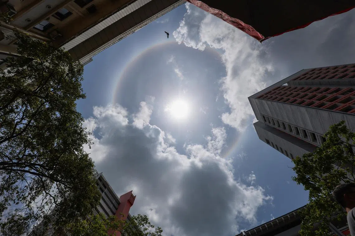 本地星期六（3月15日）中午出现罕见的“日晕”，可看见太阳周围形成一道内红外紫的彩虹光圈。（何家俊摄）