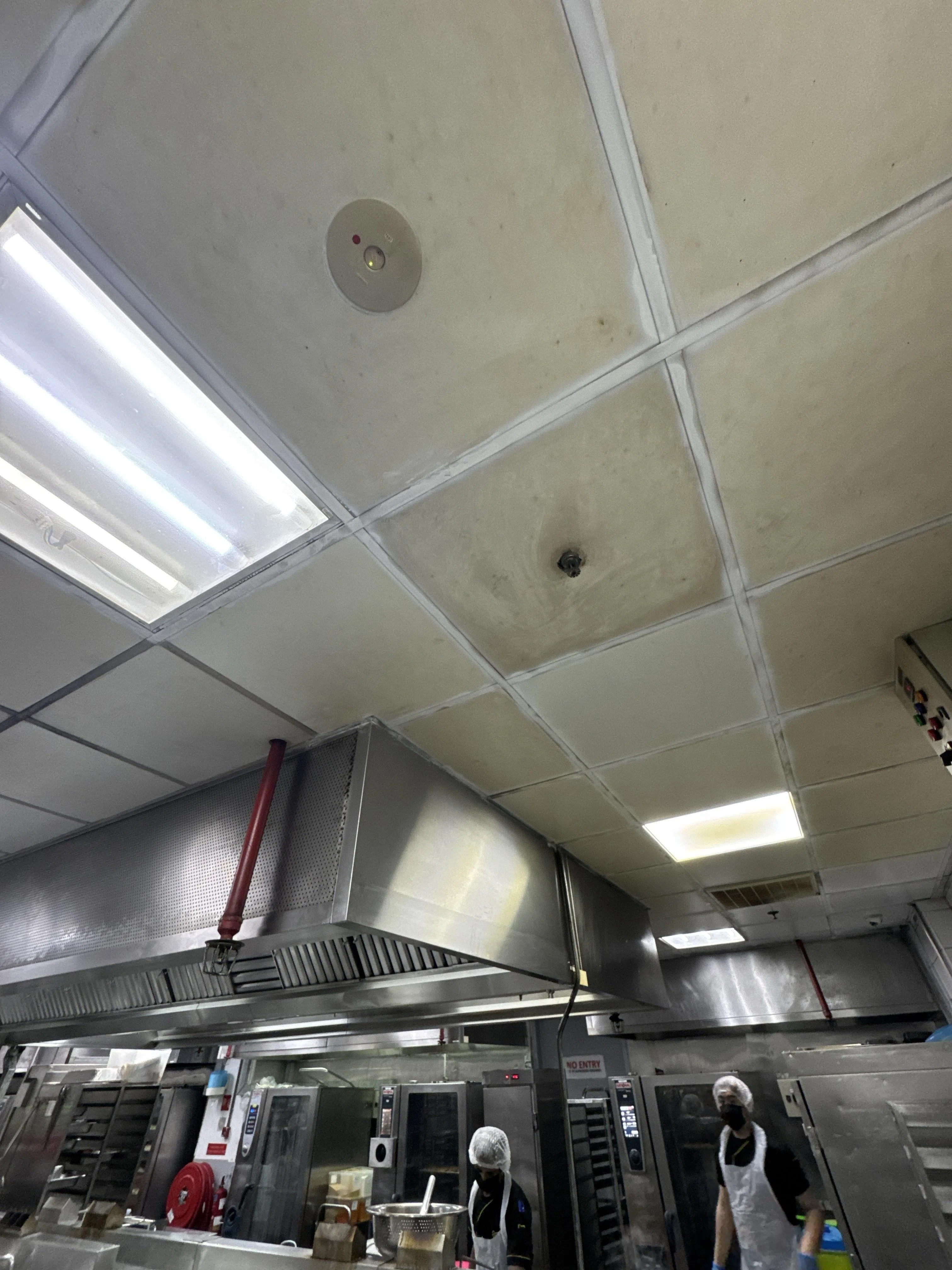 卫生部和食品局联合检查厨房时，发现Stamford Catering厨房天花板肮脏。（新加坡食品局提供）
