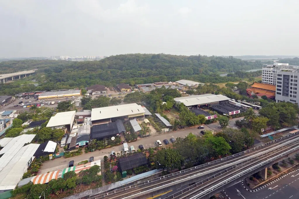 榜鹅东24公顷住宅地段 可建逾8000新住宅单位-feature-thumbnail