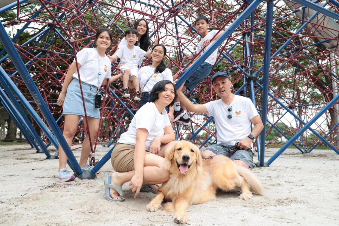 蔡烈铭一家七口，还养了一只黄金猎犬，是新加坡少见的多子女家庭。（李冠卫摄）