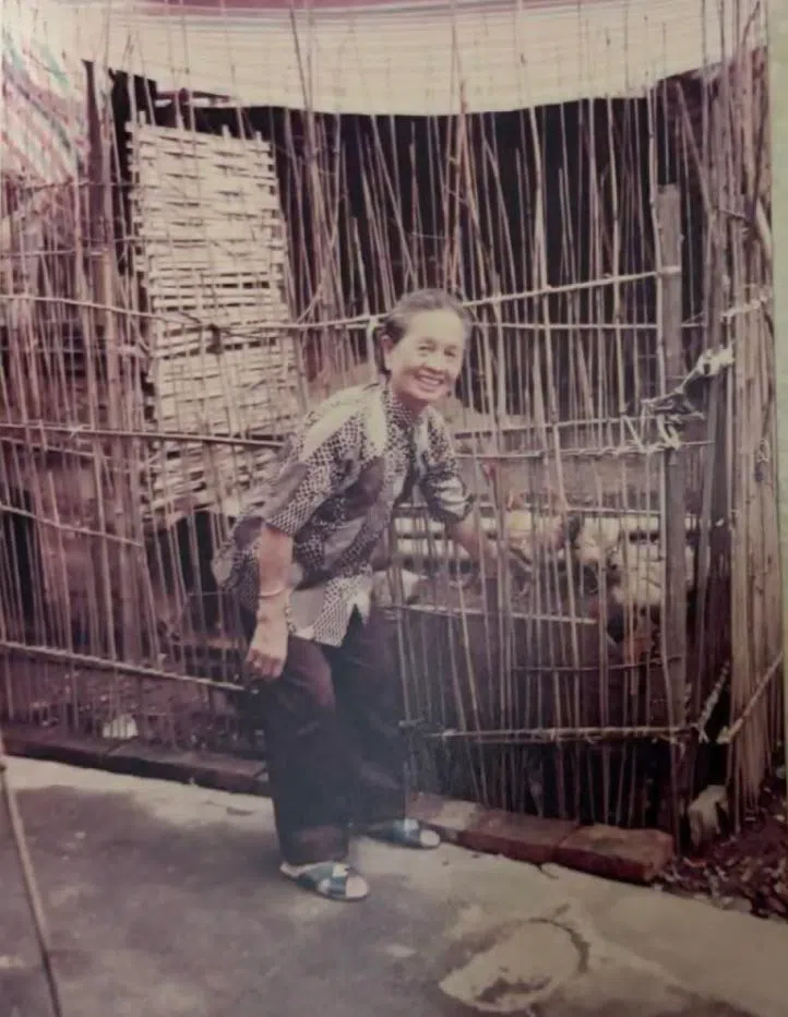 蒋亚碹生于中国福建同安，幼年被人收养，在19岁时重返新加坡定居。（取自慈母舰）