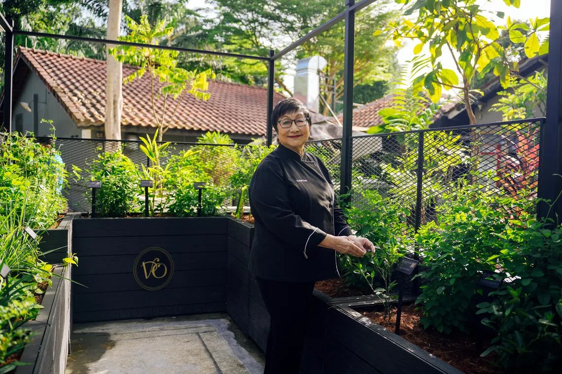 温美玉是新加坡娘惹菜代表人物，刚于登布西开设新餐馆，后面有花园种植香料。（餐馆提供）