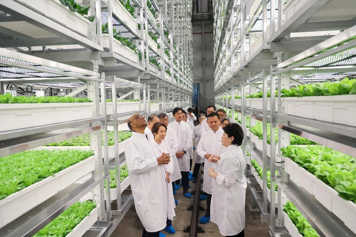 尚达曼总统（左一）在Greenphyto创办人钟淑娴（右一）的陪同下，与永续发展与环境部长傅海燕（左二）、国防部兼永续部高级政务部长扎吉哈（右二），以及总理公署高级政务部长陈国明（左五）等人，参观这座高科技垂直农场。（张俊杰摄）