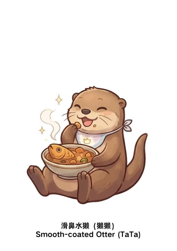 东南的水獭