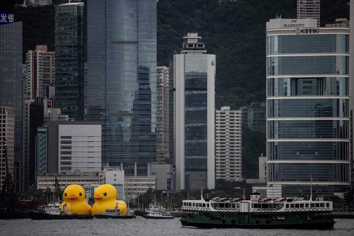 海上公共艺术展览《橡皮鸭二重畅》自6月9日停驻维港以来，深受香港巿民欢迎。（法新社）