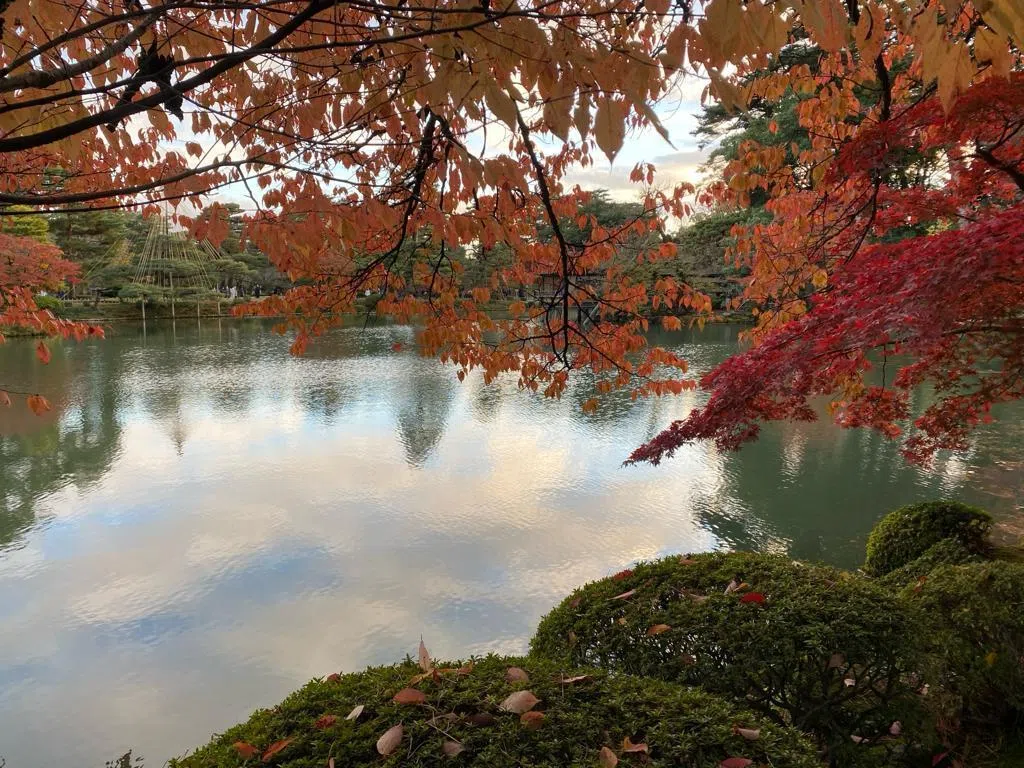 湖区红叶可能比市区的预测日期更早进入最佳观赏期。（孙慧纹摄）