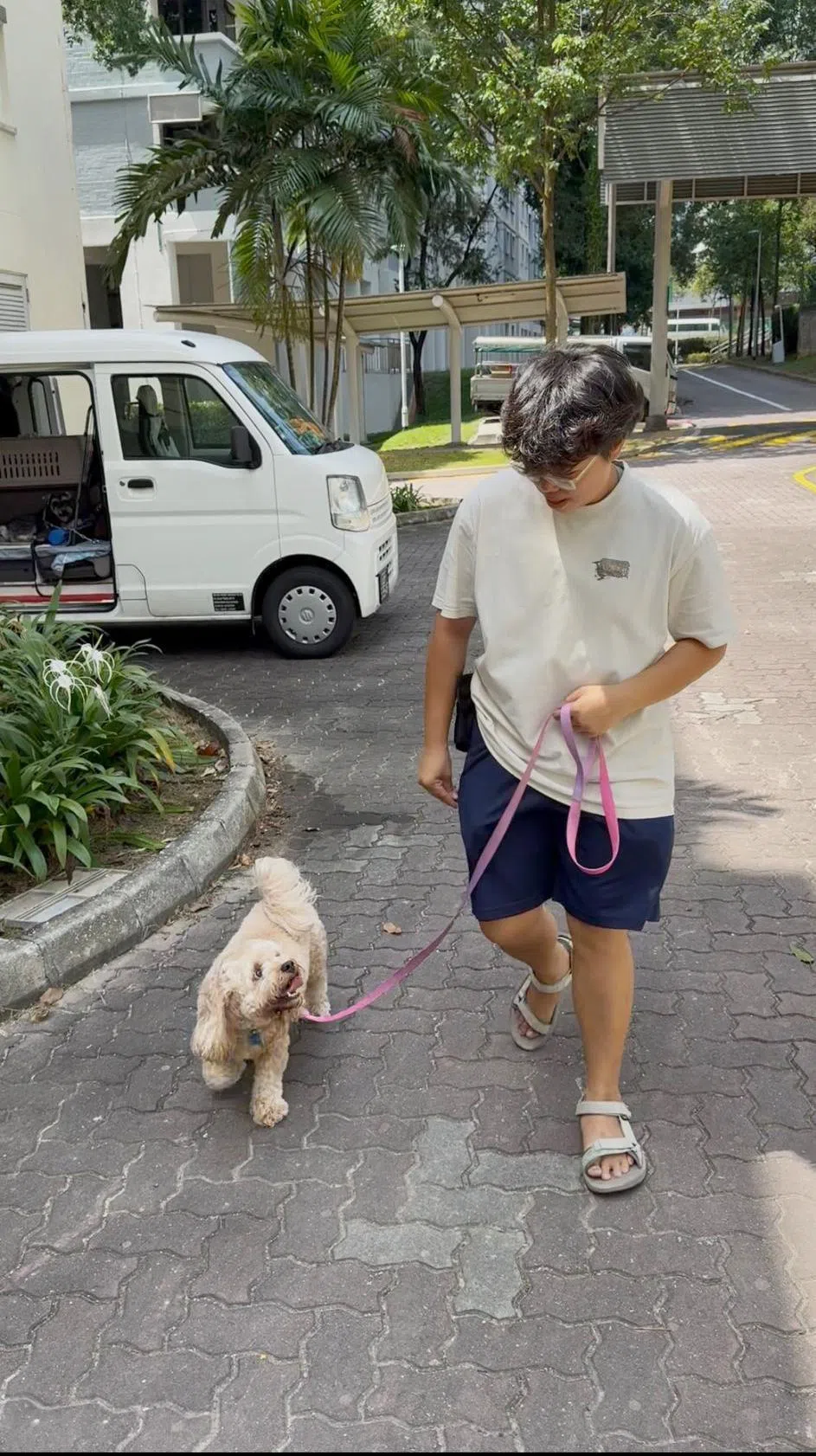 林佩莹带着客户的狗遛弯。（受访者提供）