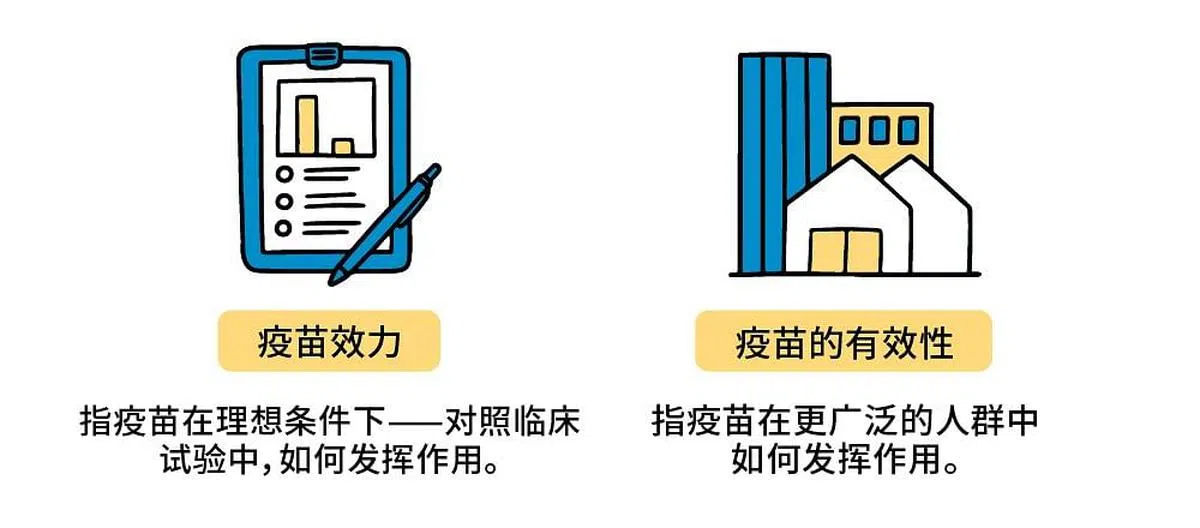 世界卫生组织关于疫苗效力和疫苗有效性的解释。（图/世界卫生组织）