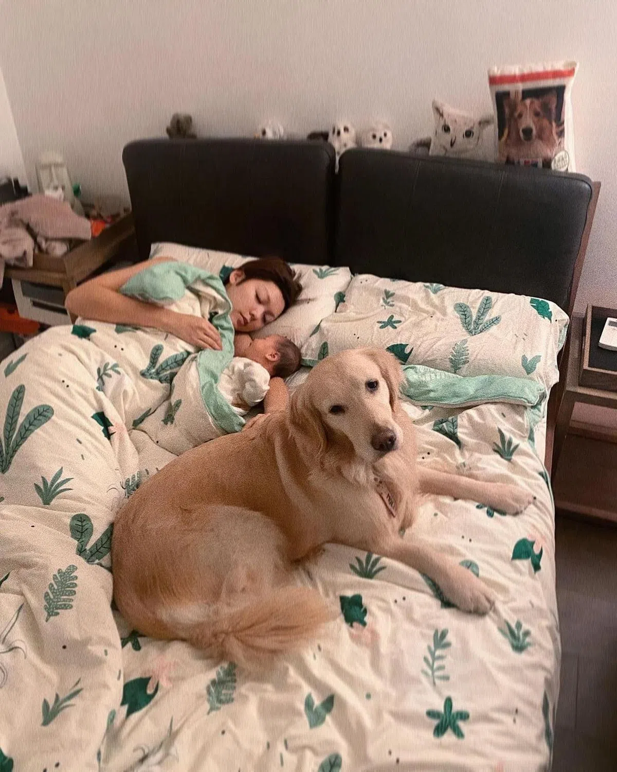 洪永城的视角：太太、女儿与爱犬。（IG）