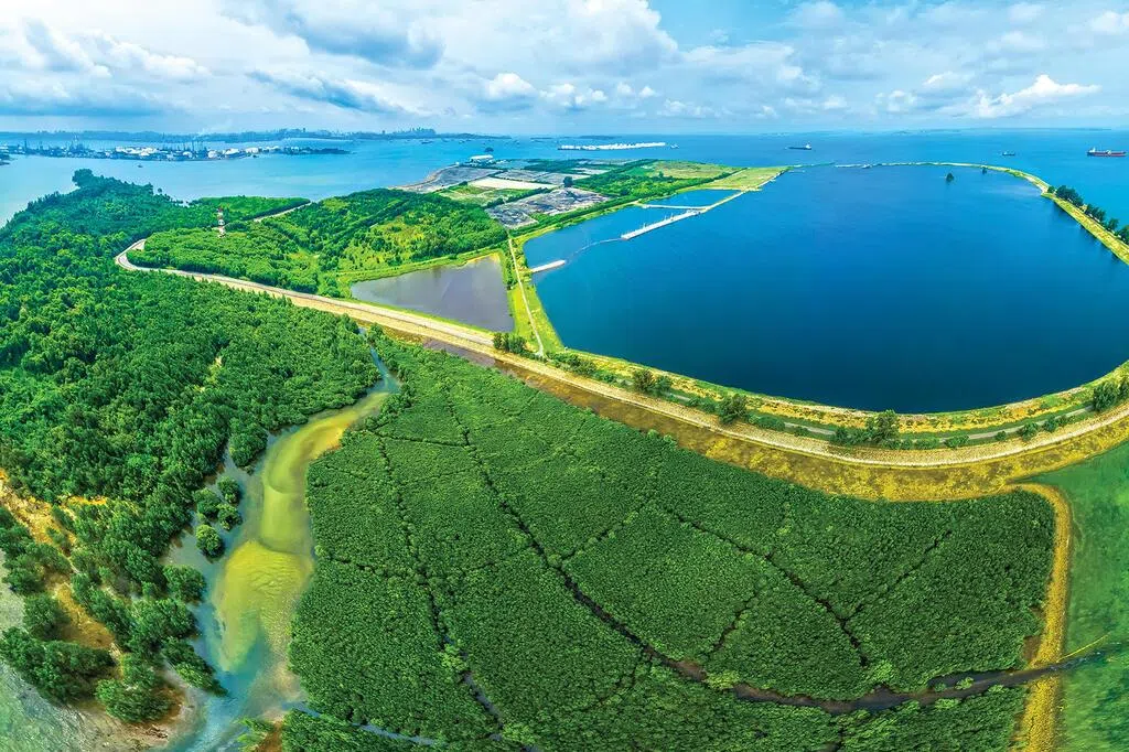 实马高垃圾埋置空间已耗逾半 西部岛屿或带来转型契机-feature-thumbnail