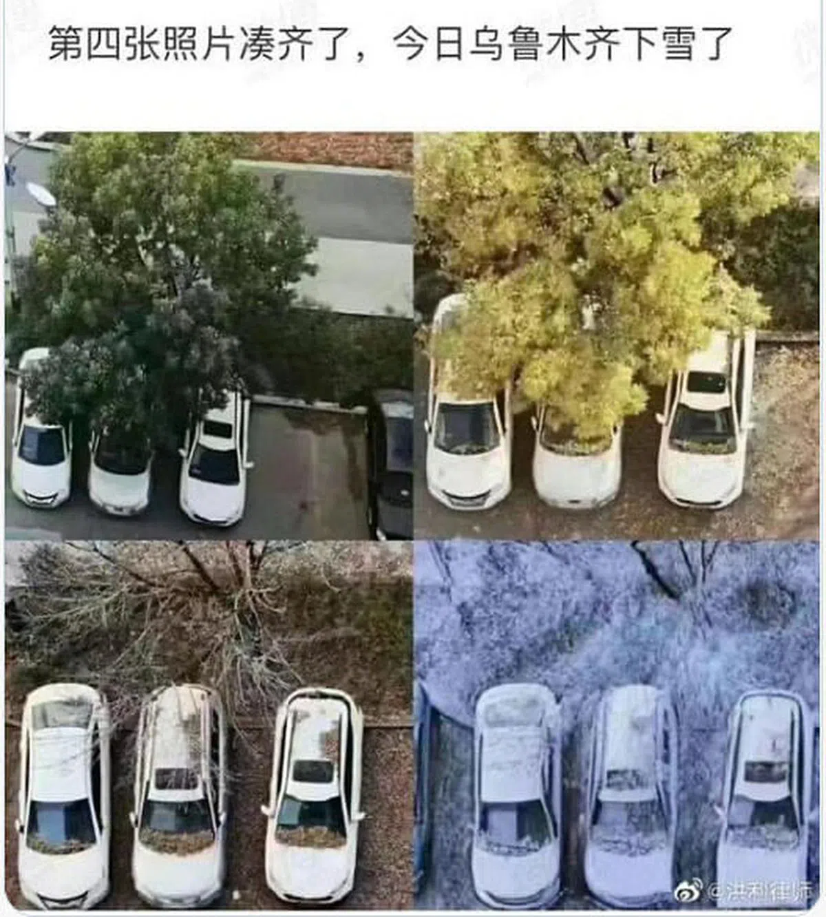 乌鲁木齐自8月10日前后起至今，全市封控近100天。图为网民贴出的自封控后再未移动过的车辆照片，其中风景仿佛走过了四季，令人唏嘘。（互联网）