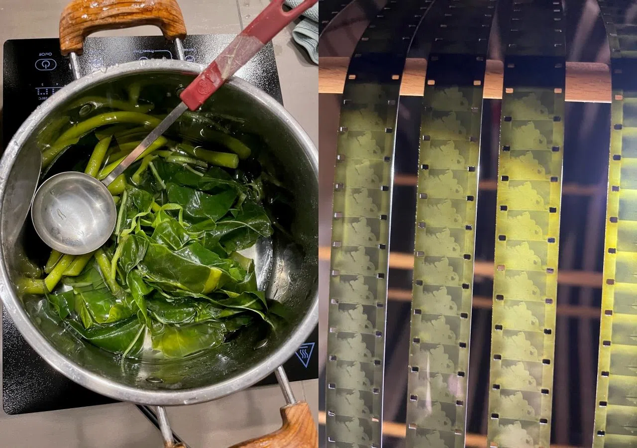 夫妻俩经常在路边采摘绿叶煲煮，并将胶卷染色，为传统电影影像注入有趣的色彩。（林俐璇、蔡圣恩提供）
