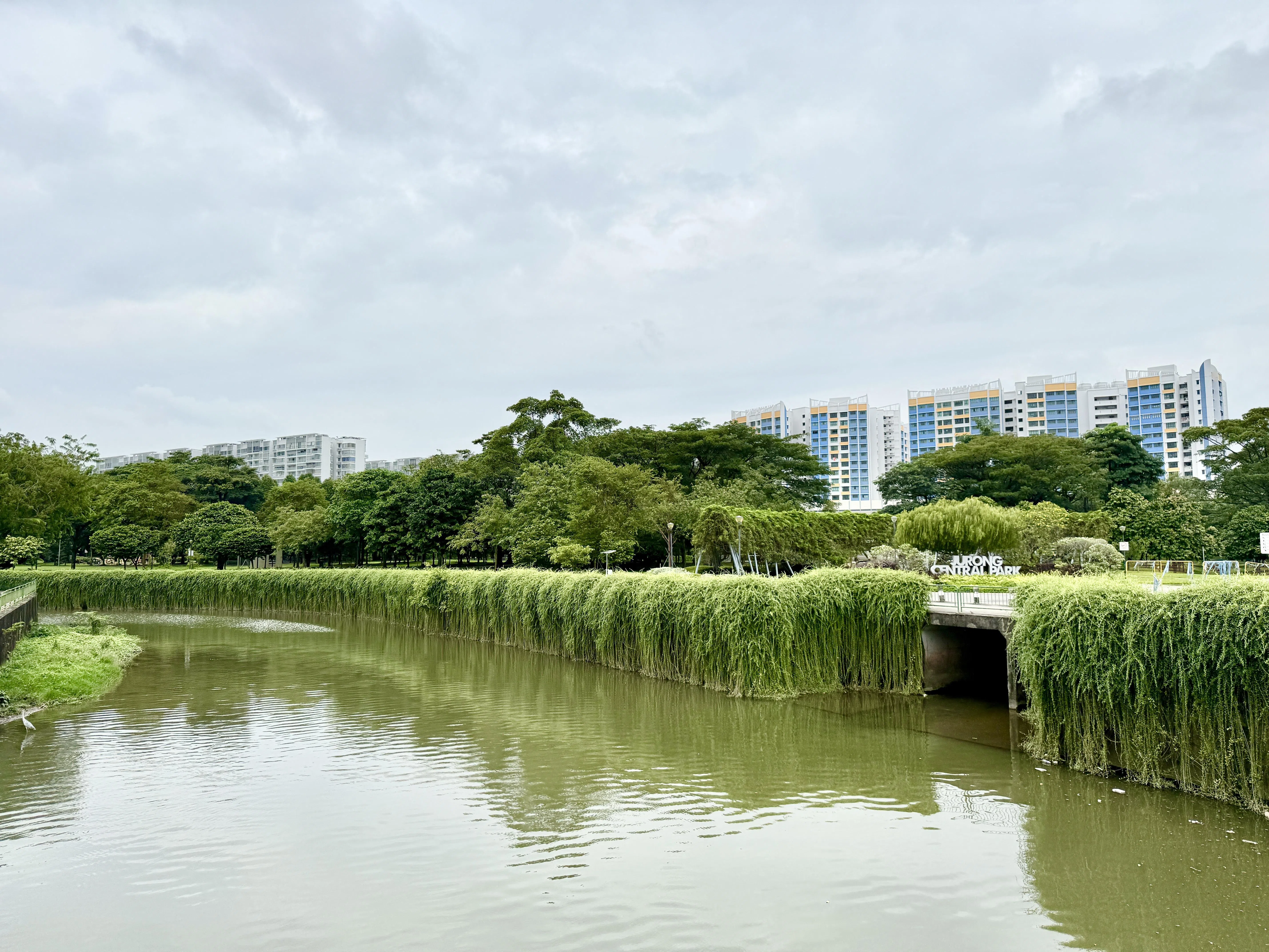 裕廊中央公园虽沿裕廊河而建，可惜公园步道与河流有一段距离。（陈映蓁摄）
