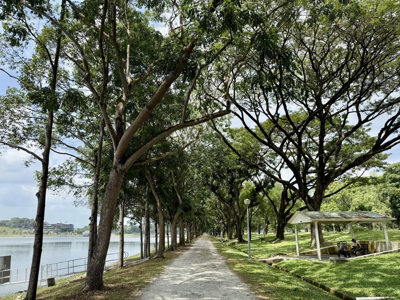 勿洛蓄水池步道让我们清楚看见“对岸”，刚刚走过的路和前方的景也都一目了然。（陈映蓁摄）