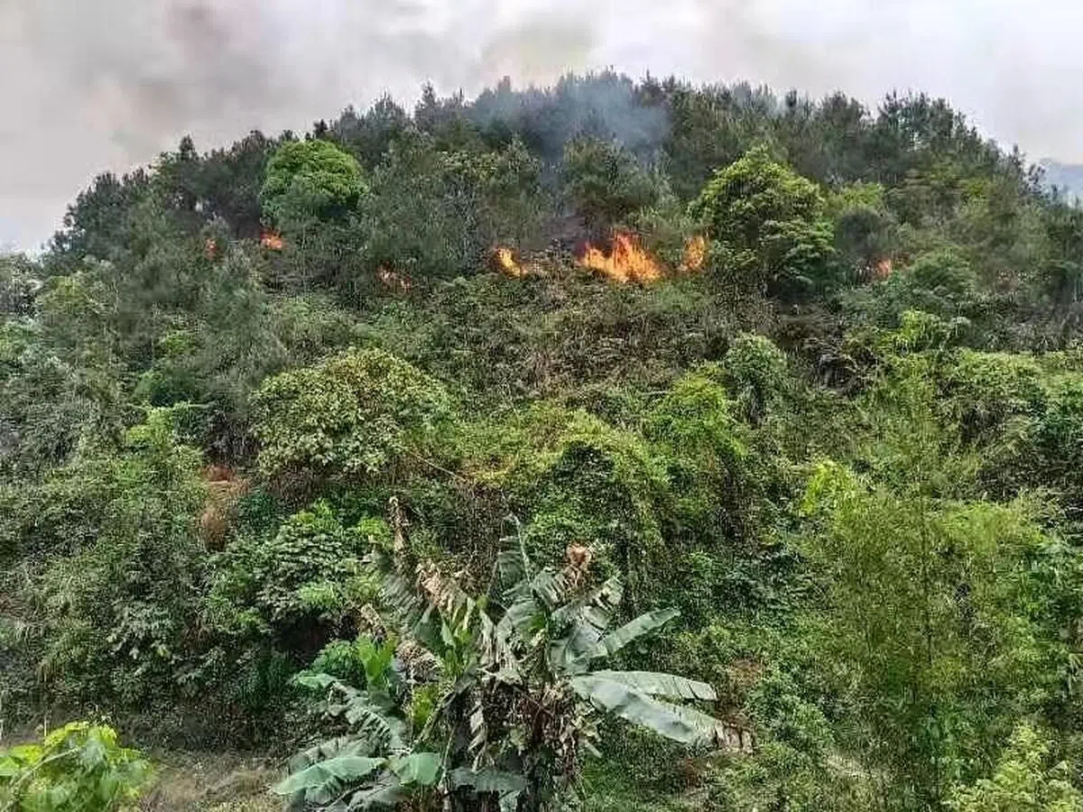 中国东航一架客机今天在广西梧州藤县一带发生坠机事故，图为坠机事故现场的周围场面。（新华社）