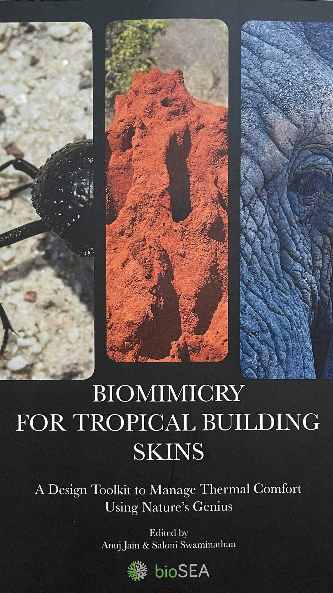 工具书《热带建筑表皮的仿生智慧》（Biomimicry for Tropical Building Skins — A Design Toolkit to Manage Thermal Comfort Using Nature’s Genius），阐述如何从生物构造汲取知识来处理和解决热带建筑的储热问题。（受访者提供）