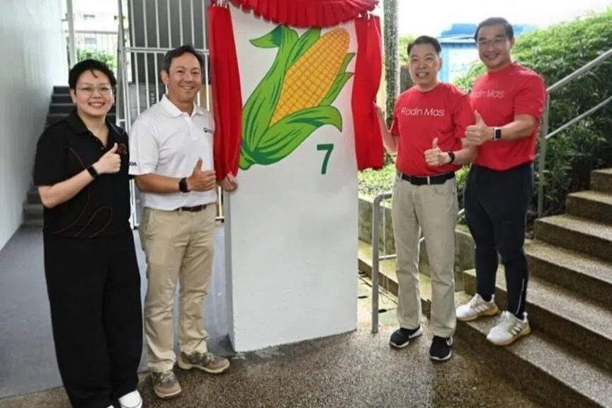 “守护灯计划”还包括在拉丁马士区内部分组屋和公共空间布置以蔬菜艺术形象为主题图样，帮助失智年长者辨认环境与方向。拉丁马士区议员杨益财（右二）星期一为计划启幕。（拉丁马士社区福利与发展基金提供）