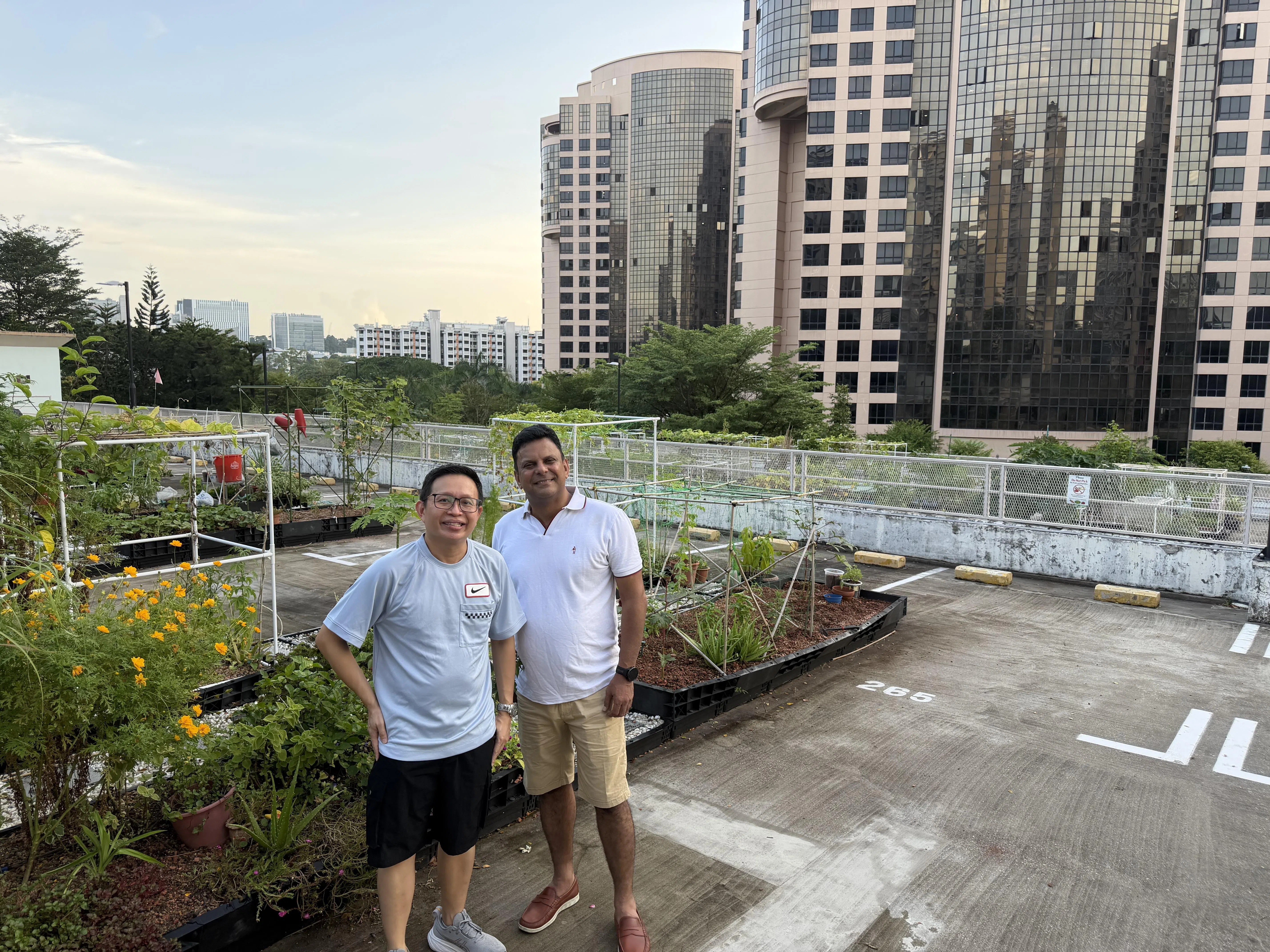 杜佛弄东第12A座多层停车场顶层的社区花园，共提供88个小型花床，注册花床的居民可使用两年。由于供不应求，花园目前有等候名单。基层义工比朱（右）和郭福才负责管理花园日常事务。（许翔宇摄）